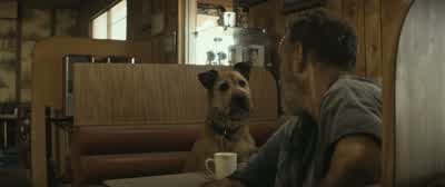 What should we have? - Finch