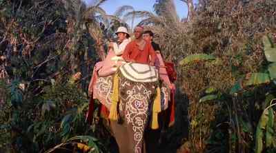 - What is that?
- A Royal Bengal Tiger. - Around the World in Eighty Days
