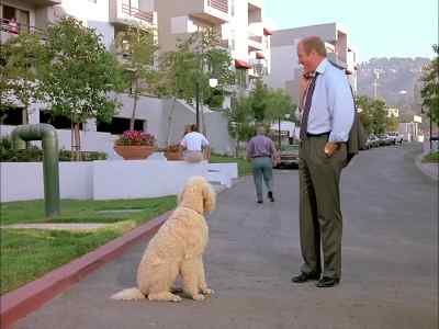 What was that all about? - Murder, She Wrote