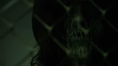 - What was that? - Teen Wolf