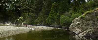 What was that for? - Pete's Dragon