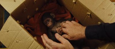 What is that? Is he injured? - Rise of the Planet of the Apes