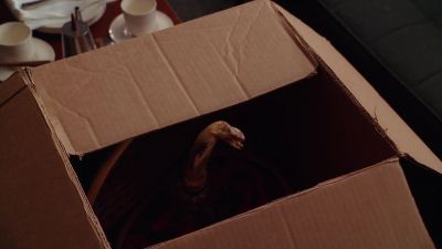 What is that? It looks like a snake. - Mad Men