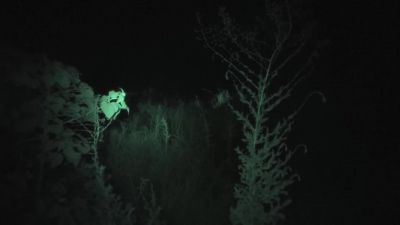        -What is that, jay?
       -Did you hear that? - Ghost Adventures