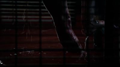 What is that? - The Vampire Diaries