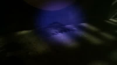 What is that? - Teen Wolf