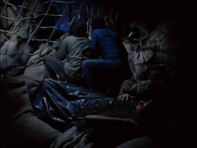 What was that? - Tarantulas: The Deadly Cargo