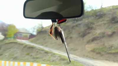 What is that?
(SPEAKS IN RUSSIAN) - From Russia to Iran: Crossing Wild Frontier