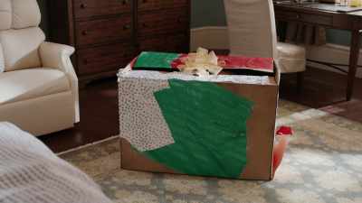 - What is that?
- That is a gift for you. - Psych 2: Lassie Come Home