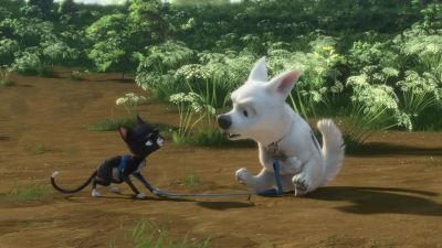 What is that What - Bolt