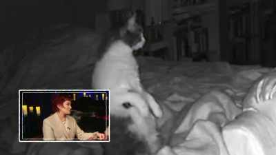 "What the [bleeped]
is going on here?" - The Osbournes Want to Believe