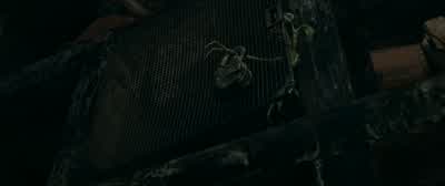 What the bloody hell was that for? - Fantastic Beasts: The Secrets of Dumbledore