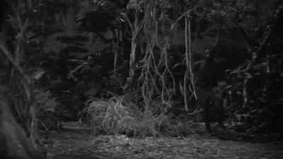 What the deuce is the matter here? - Tarzan Finds a Son!