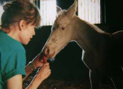 - What is the foal's name?
- MARY: John. - Being Mary Tyler Moore