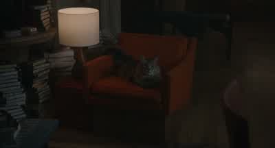 What the fuck, Bud? - Caught Stealing