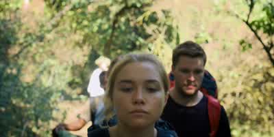 Do they have ticks in Sweden? - Midsommar