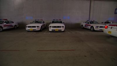 What the fuck man - Reno 911! Miami