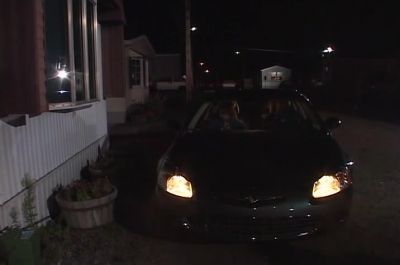 What the fuck - Trailer Park Boys