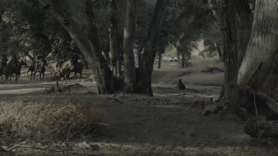 What the fuck? - Westworld