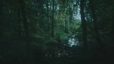 What the fuck? - The Woods Are Real