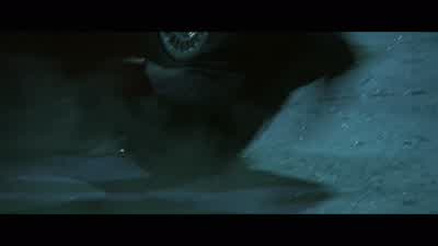 What the fuck? - Collateral