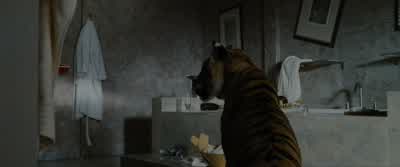 What the fuck? - The Hangover