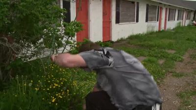 What the fuck - Trailer Park Boys
