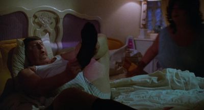 What the hell are you doing - Polyester