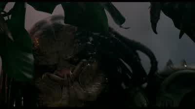 What the hell are youWhat the hell are you - Predator