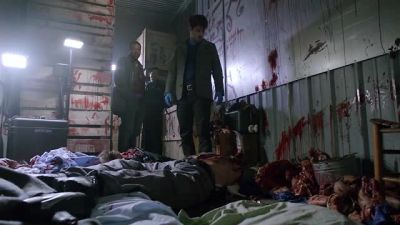What the hell did this? - Grimm