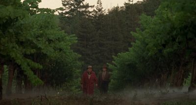 What the hell do the doctors know - A Walk in the Clouds