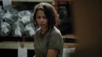 What the hell happened to you? - Colony