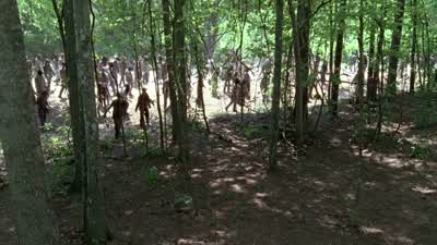 What the hell is happening? - The Walking Dead