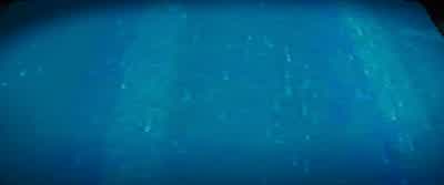 What the hell has gotten into them now? - Godzilla: King of the Monsters