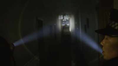 What the hell?
I guess it's a '70s ghost. - Wellington Paranormal