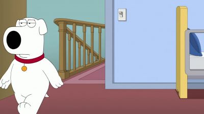 What the hell
is all this? - Family Guy