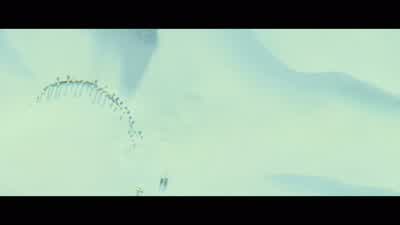 What the hell is that? - Monster Hunter