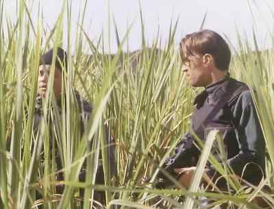 WHAT THE HELL IS THAT? - Cyborg Cop