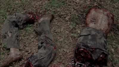 What the hell is this mess? - The Walking Dead