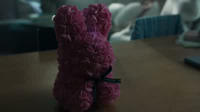 What the hell is up with the bunny kink? - FBI