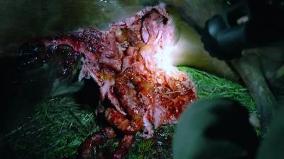 What the hell? - Grimm
