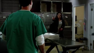 What the hell? - Hawaii Five-0