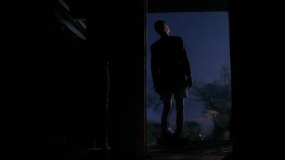 What the hell? - The X-Files