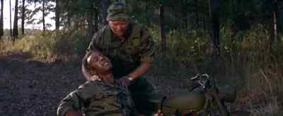 What the hell? - The Green Berets