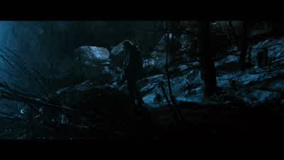 What the hell? - The Wolverine