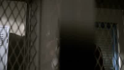 What the hell? - Teen Wolf