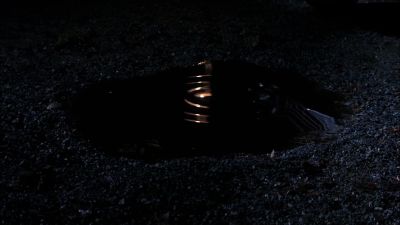 What the hell is that? - Supernatural