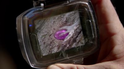 What the hell is that? - Under the Dome