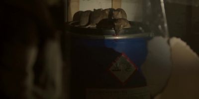 What the hell is that? - Silent Witness