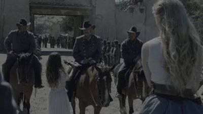What the hell is that? - Westworld